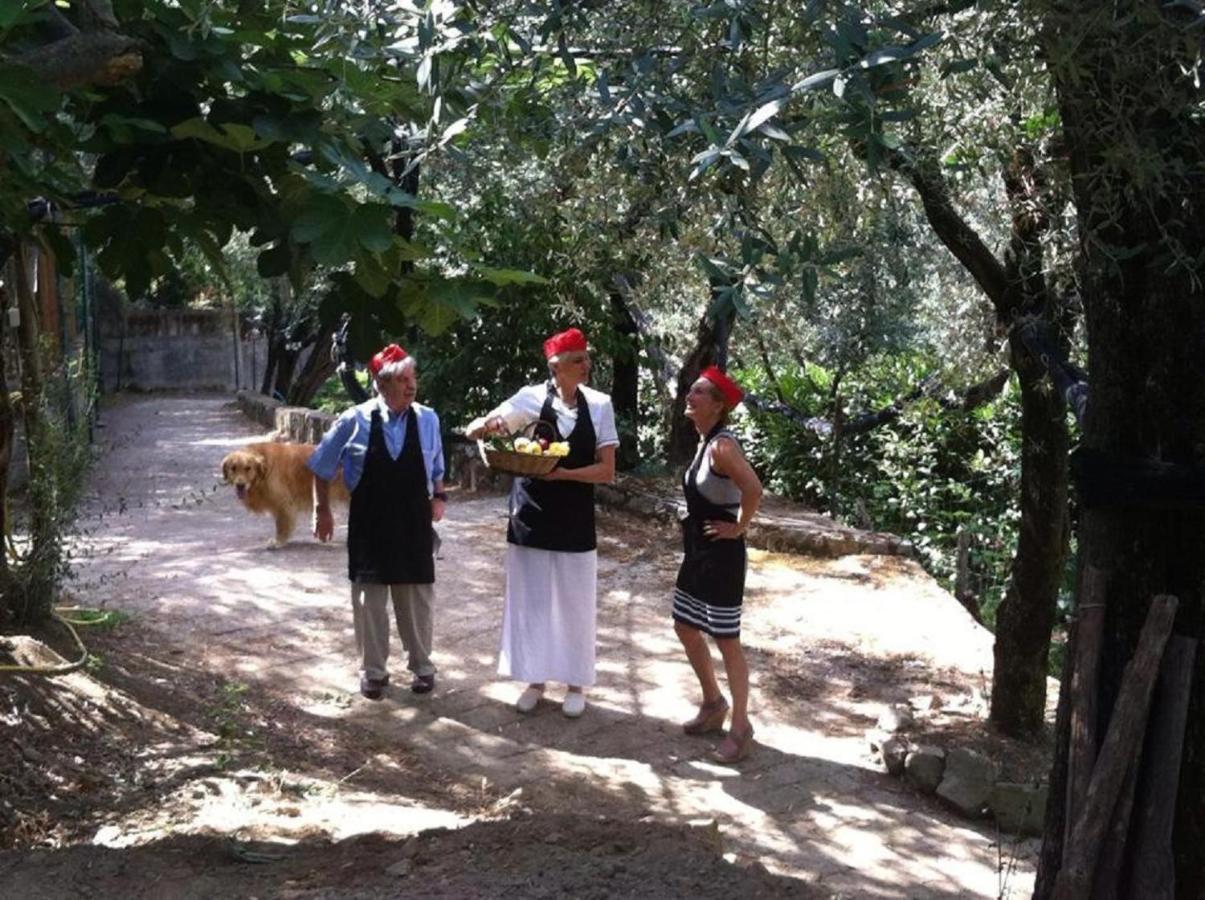 Villa Pane Resort Sorrento Eksteriør bilde